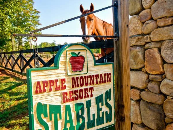 Horse stables at Apple Mountain Resort in Clarkesville, GA