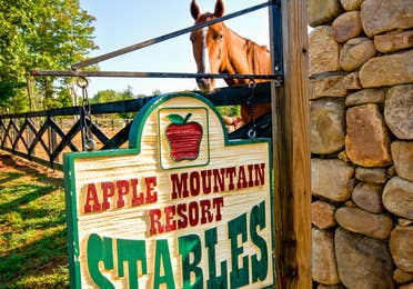 Horse stables at Apple Mountain Resort in Clarkesville, GA