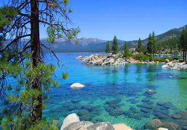View of Lake Tahoe surrounded by pine trees.