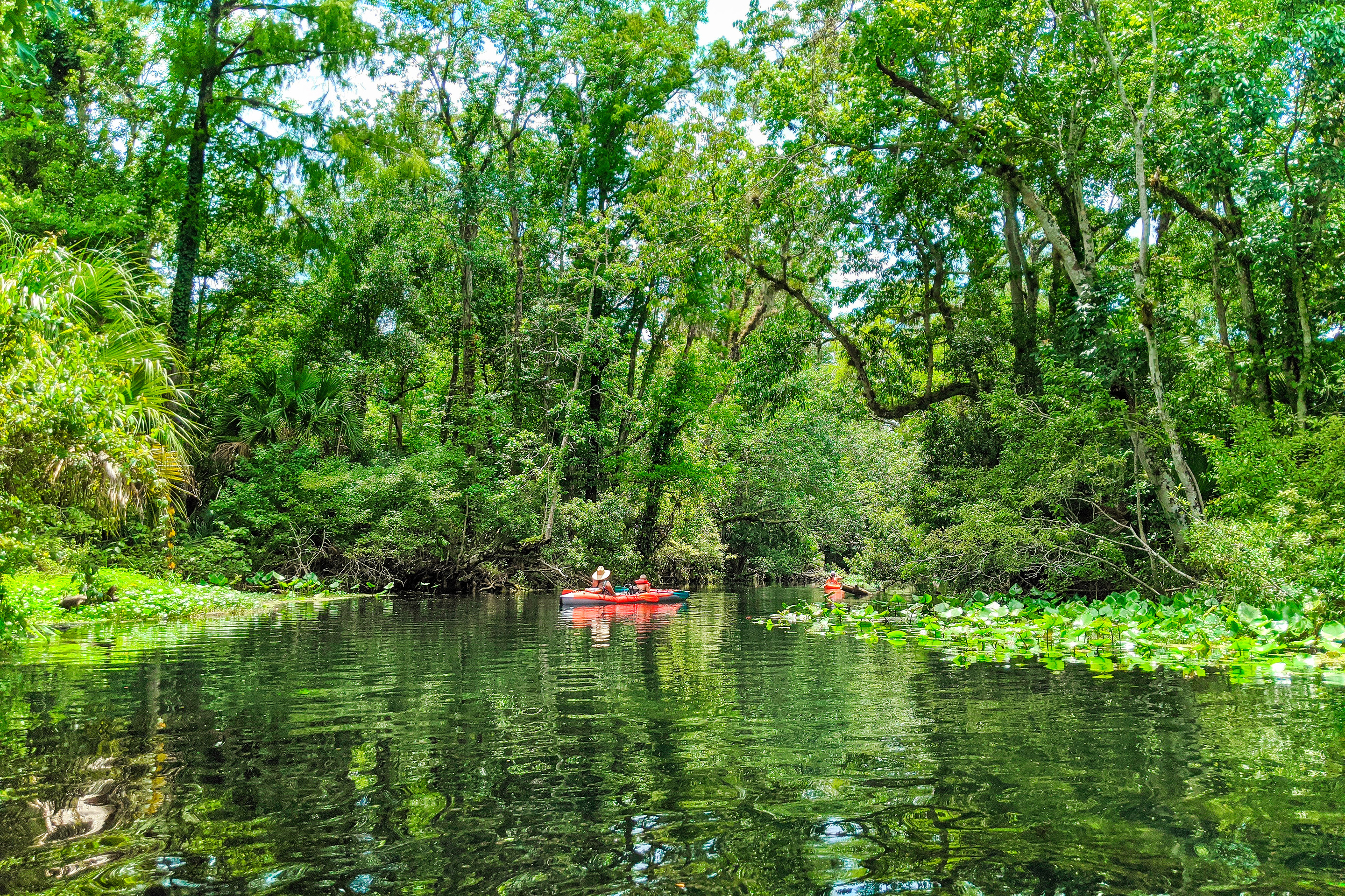 A man and young boy in a red kayak paddle down a scenic river through green foliage.