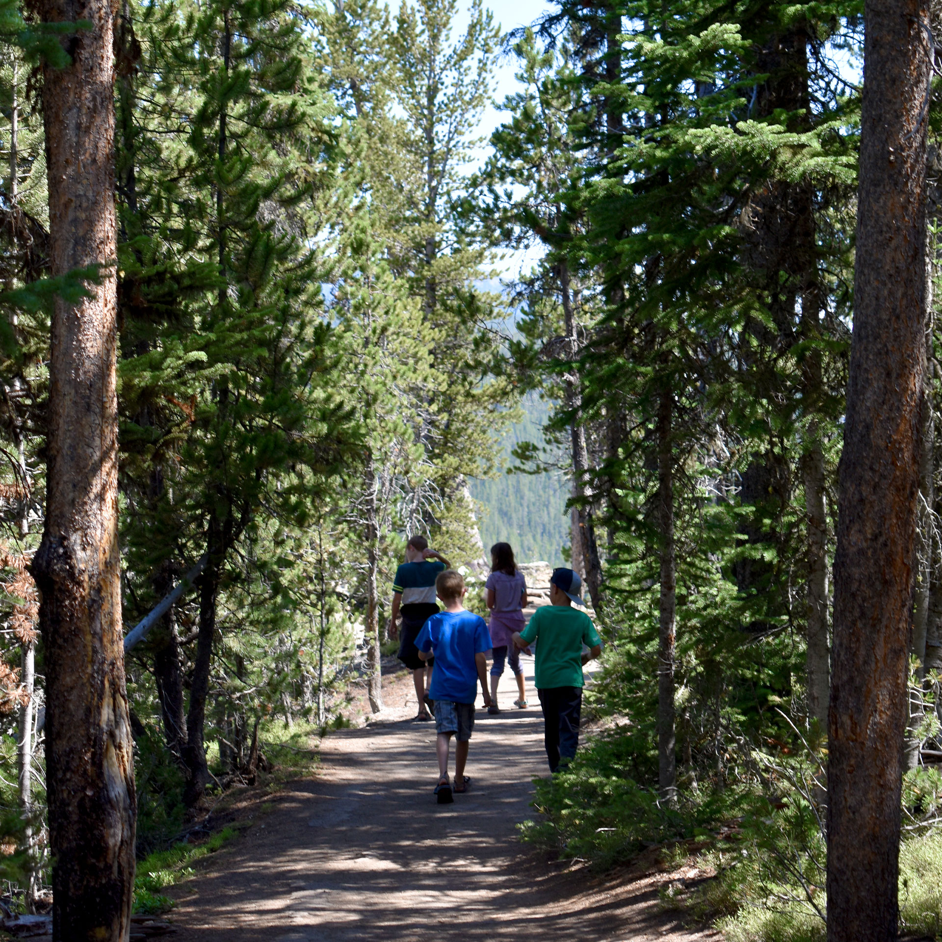 Featured Contributor, Jessica Averett's family walk through the Grove of Patriarchs at Mount Rainier National Park.