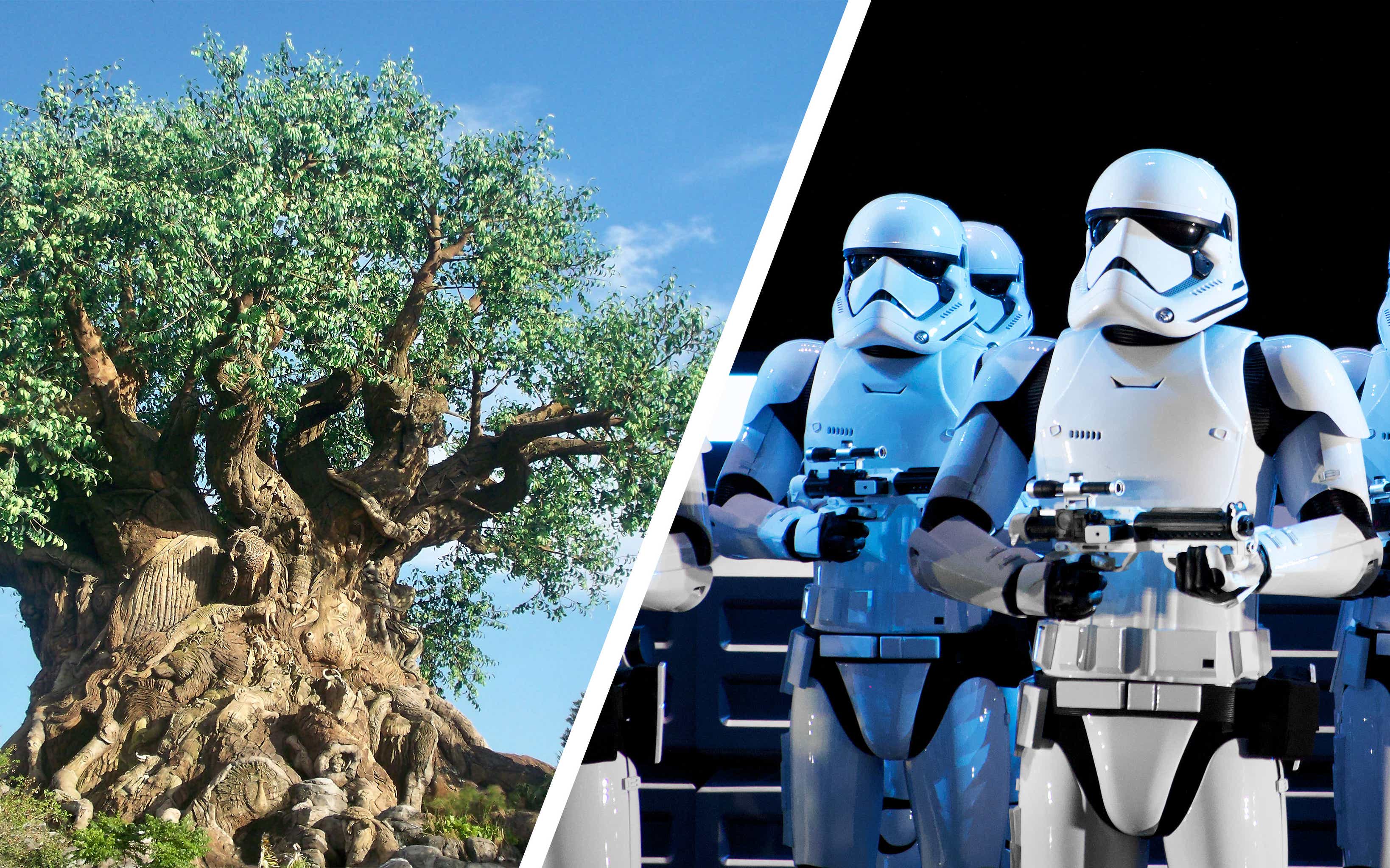 What It’s Like at Disney’s Animal Kingdom & Hollywood Studios Right Now