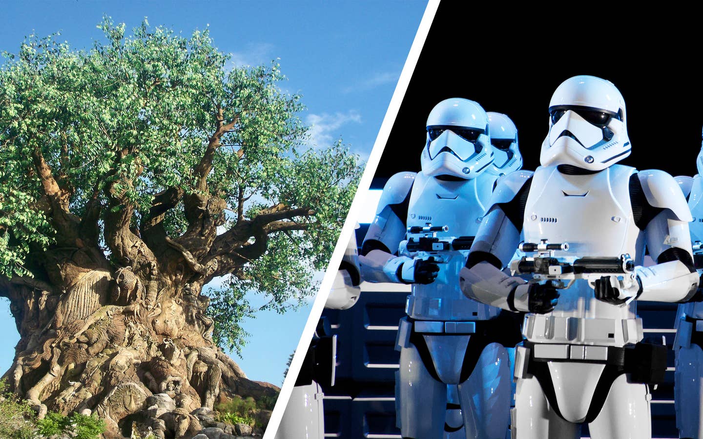 Left: The Tree of Life at Disney's Animal Kingdom Theme Park. Right: Storm Troopers stand at Disney's Hollywood Studios at Star Wars: Rise fo the Resistance.