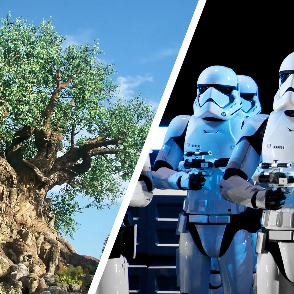 Left: The Tree of Life at Disney's Animal Kingdom Theme Park. Right: Storm Troopers stand at Disney's Hollywood Studios at Star Wars: Rise fo the Resistance.
