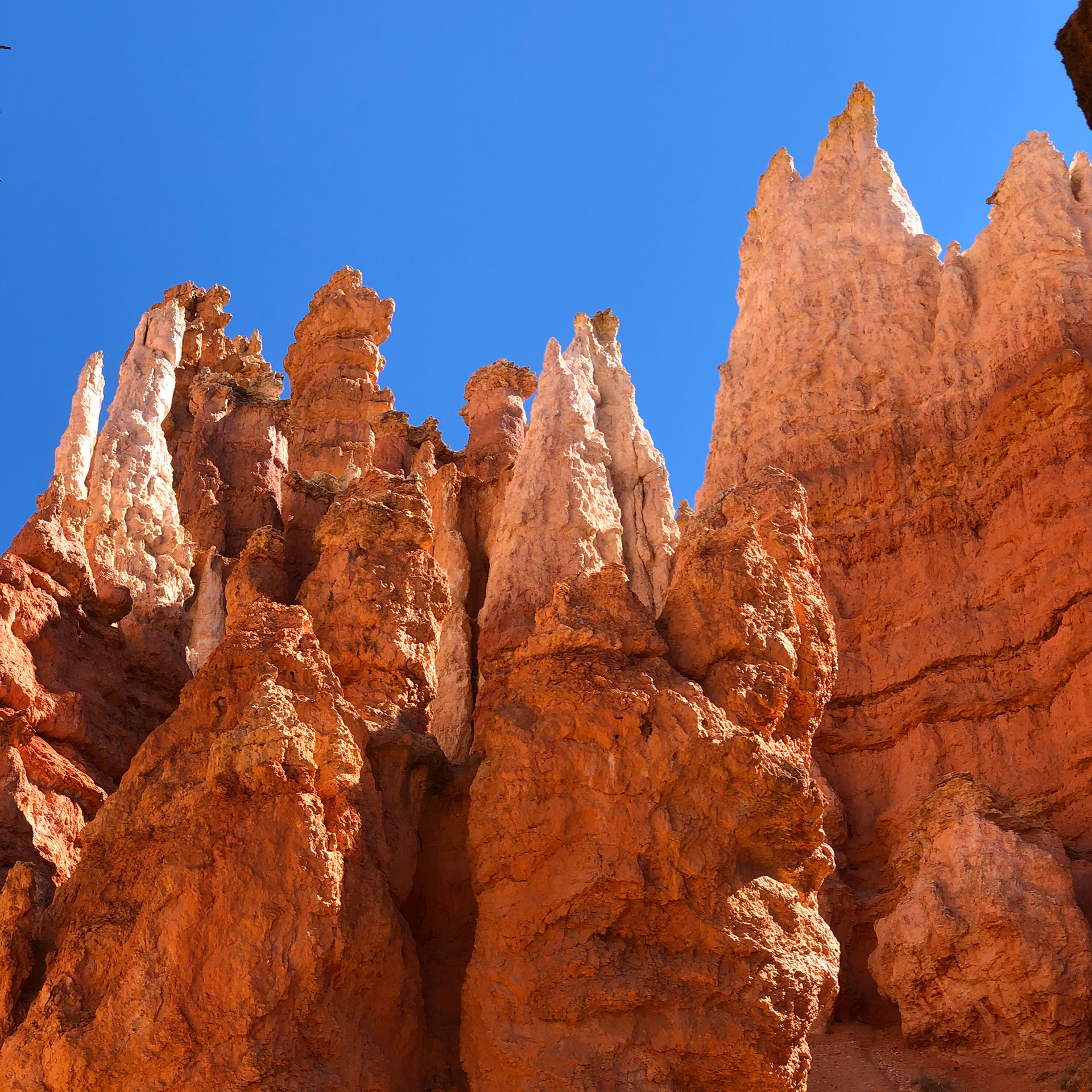 Red Rock formations from Bryce Canyon National Park with a bright blue sky.