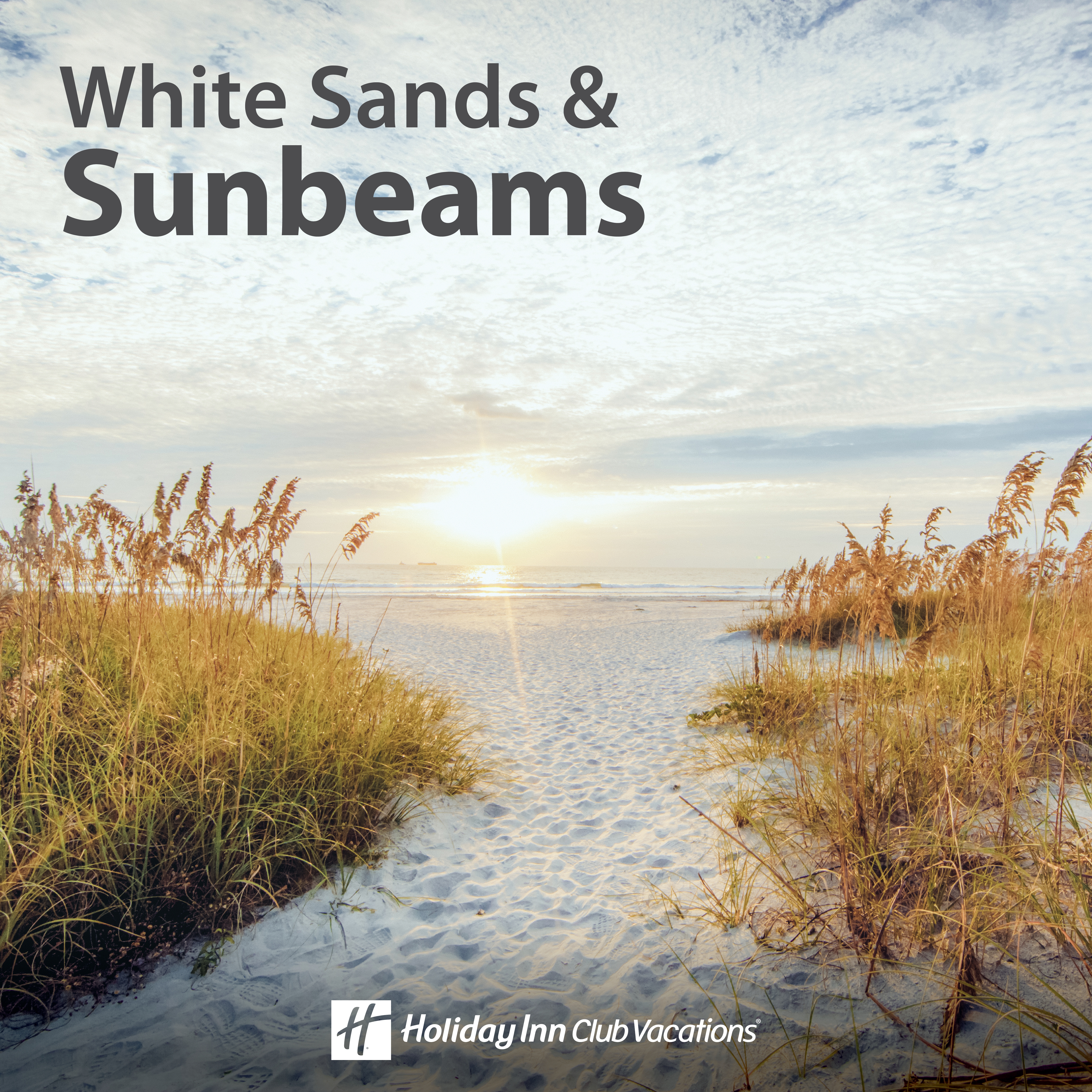 White sand beach with a golden sunset off in the distance