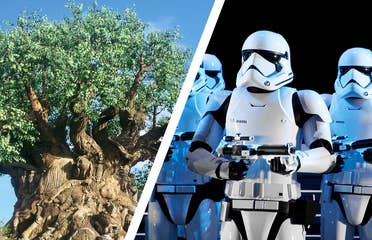 Left: The Tree of Life at Disney's Animal Kingdom Theme Park. Right: Storm Troopers stand at Disney's Hollywood Studios at Star Wars: Rise fo the Resistance.