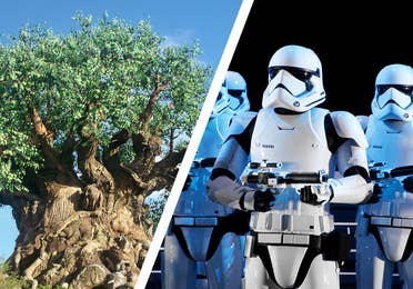 Left: The Tree of Life at Disney's Animal Kingdom Theme Park. Right: Storm Troopers stand at Disney's Hollywood Studios at Star Wars: Rise fo the Resistance.