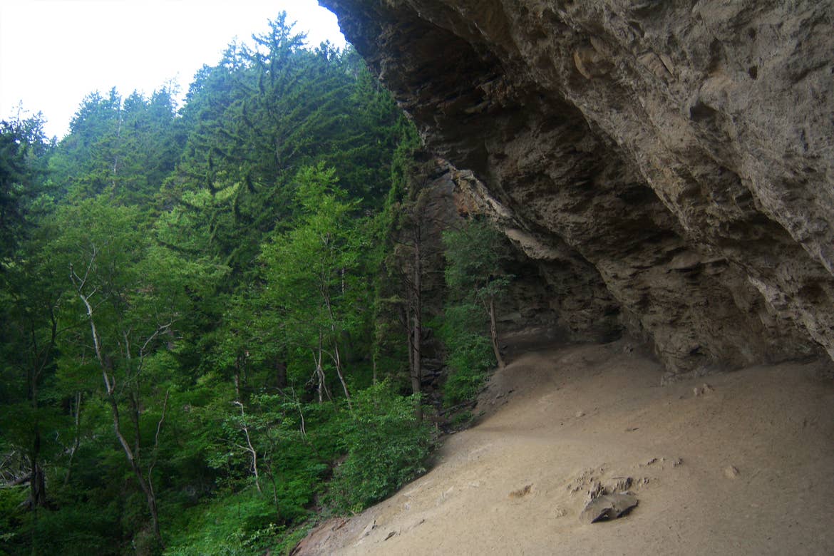 A dirt trail under a rock formation surrounded by pine trees at Alum Cave Trail in Tennessee.