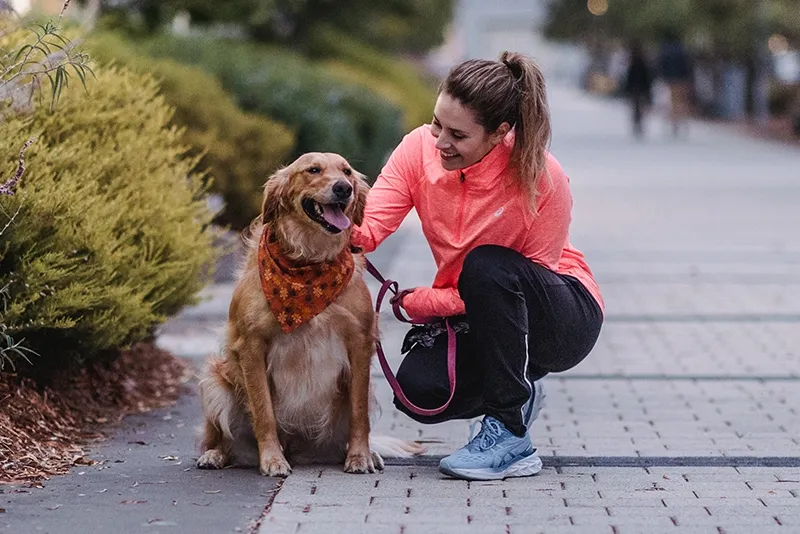 Runner and Dog