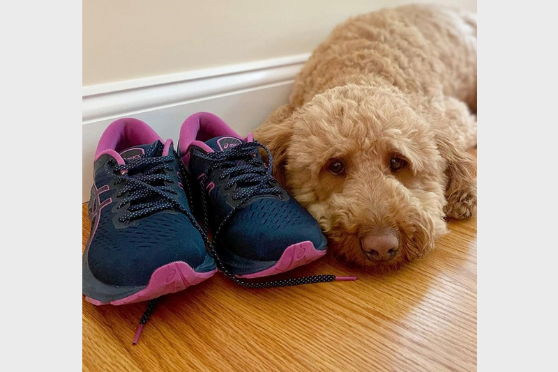 Asics animal sale