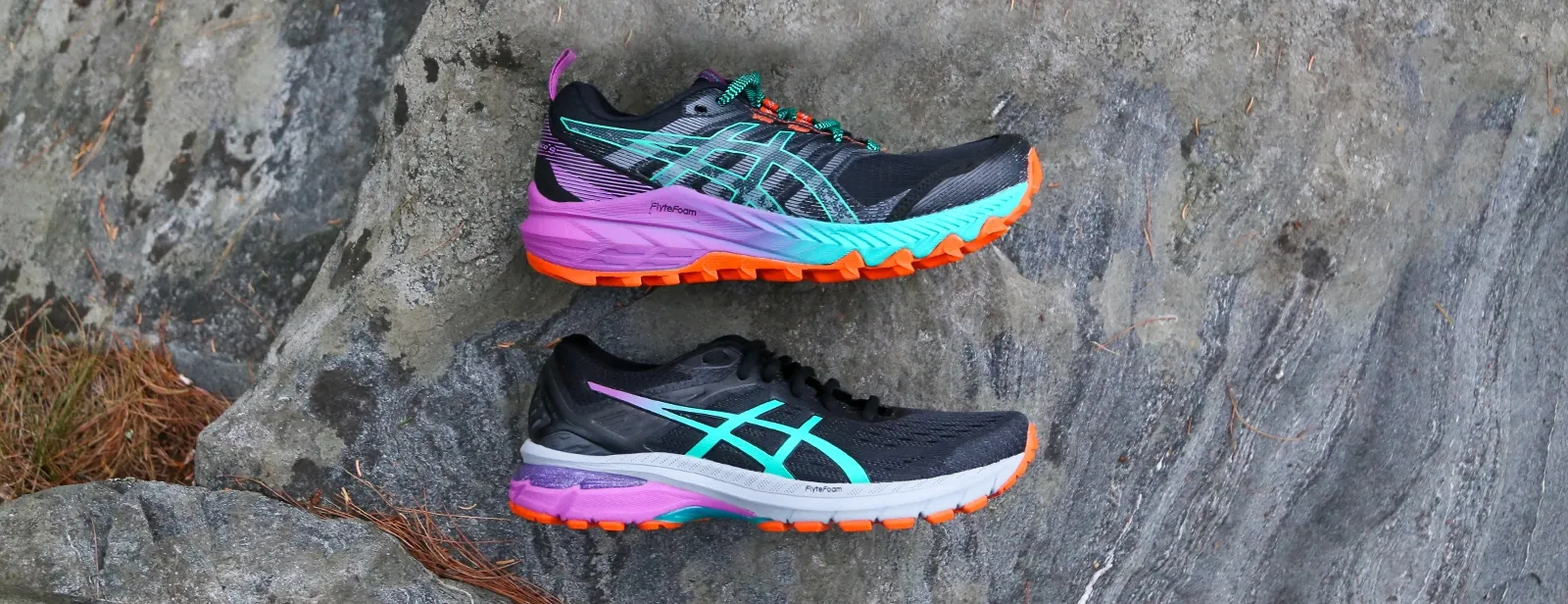 anatomy of a running shoes