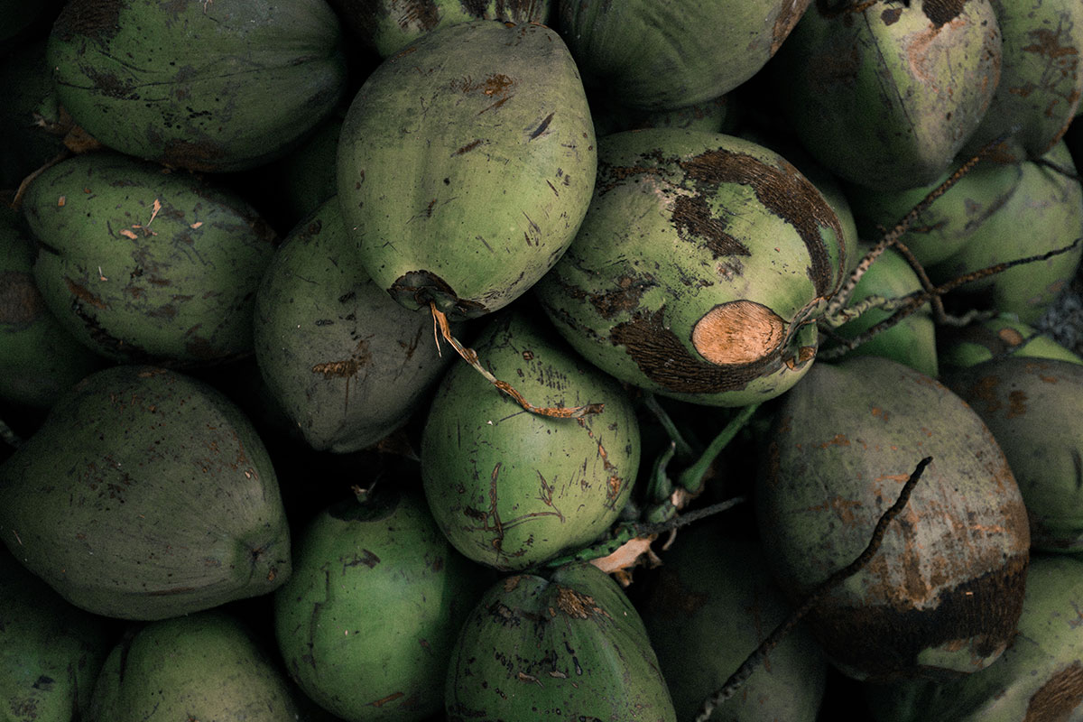 Fractionated Coconut Oil