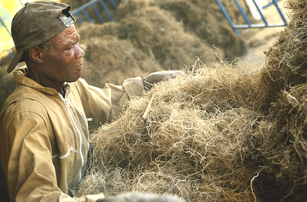 vetiver-sourcing-1920x1145-global.jpg