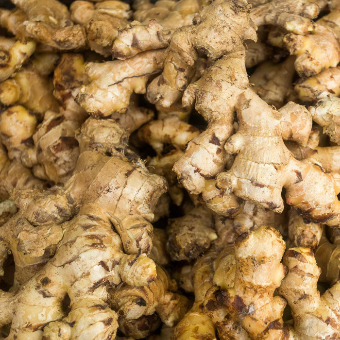 Fresh ginger root
