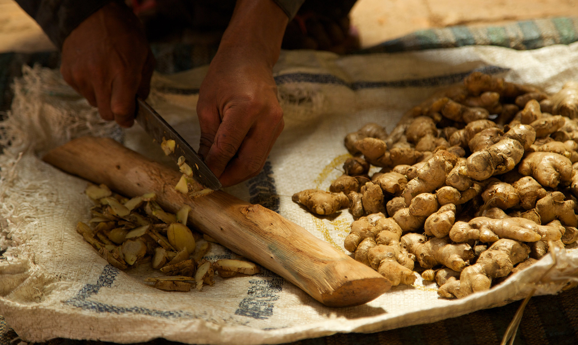 ginger-botanical-1920x1145-global.jpg