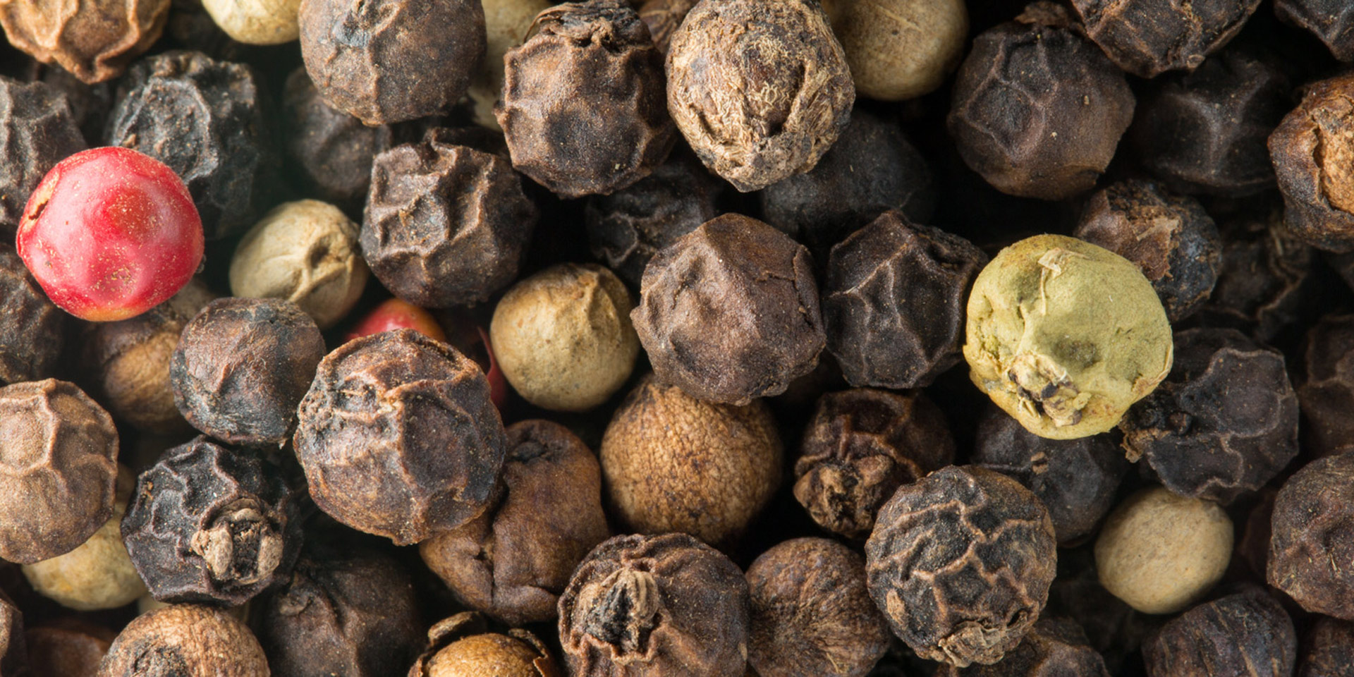 black-pepper-dried-botanical-1920x960-global.jpg