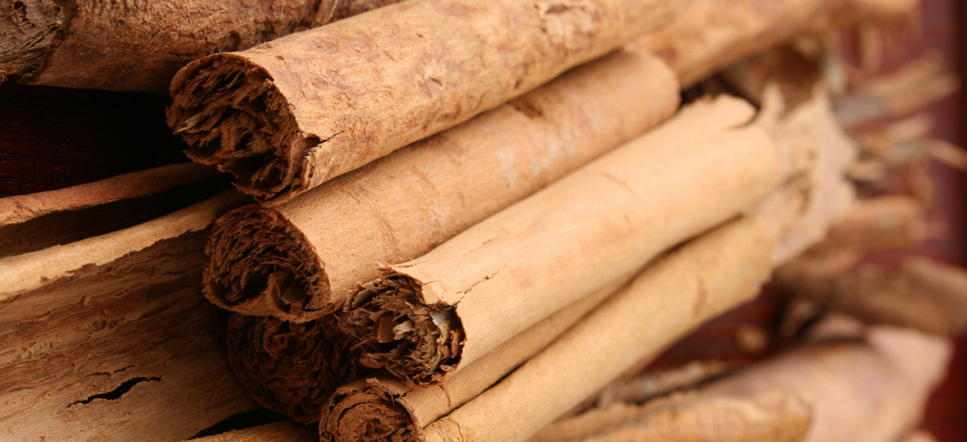 cinnamon-bark-botanical-1920x960-global.jpg
