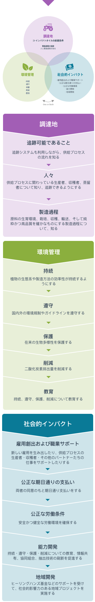 Co-Impact インフォグラフィック