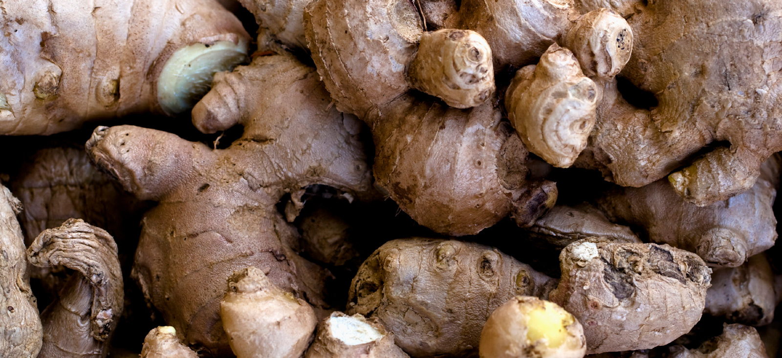 ginger-botanical-1600x733-global.jpg