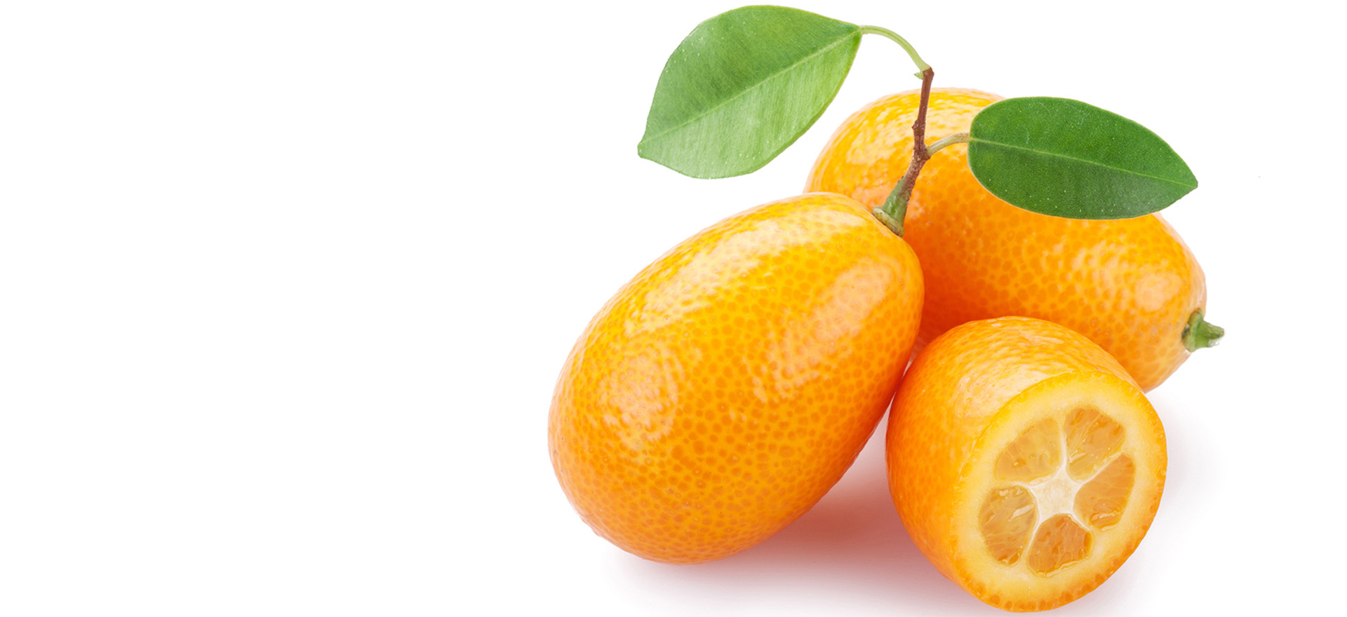 kumquat-fruit-botanical-1920x960-global.jpg