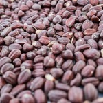 Jojoba