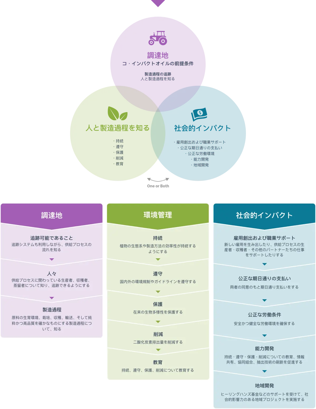 Co-Impact インフォグラフィック