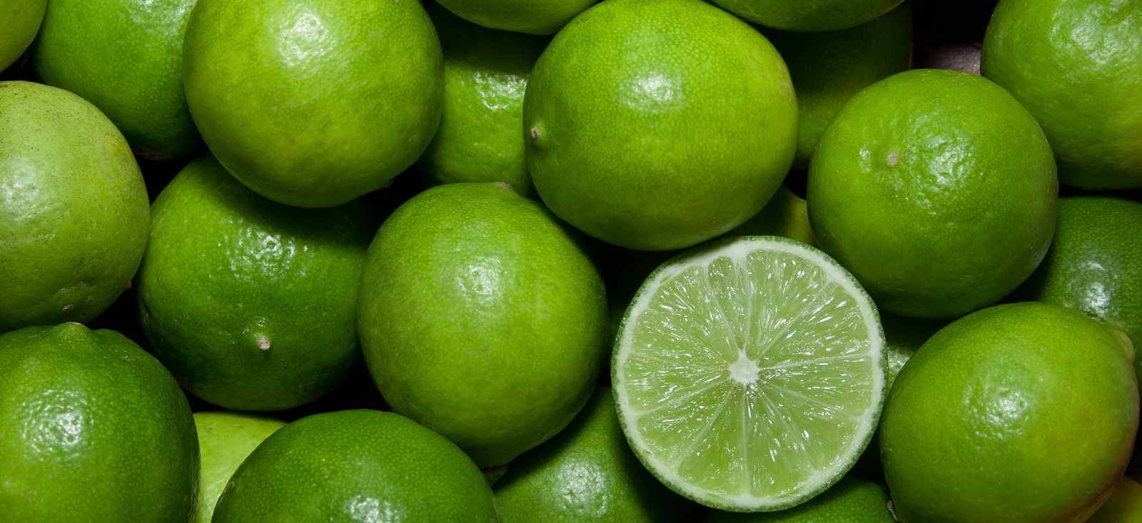 Lime เชิงพฤกษศาสตร์