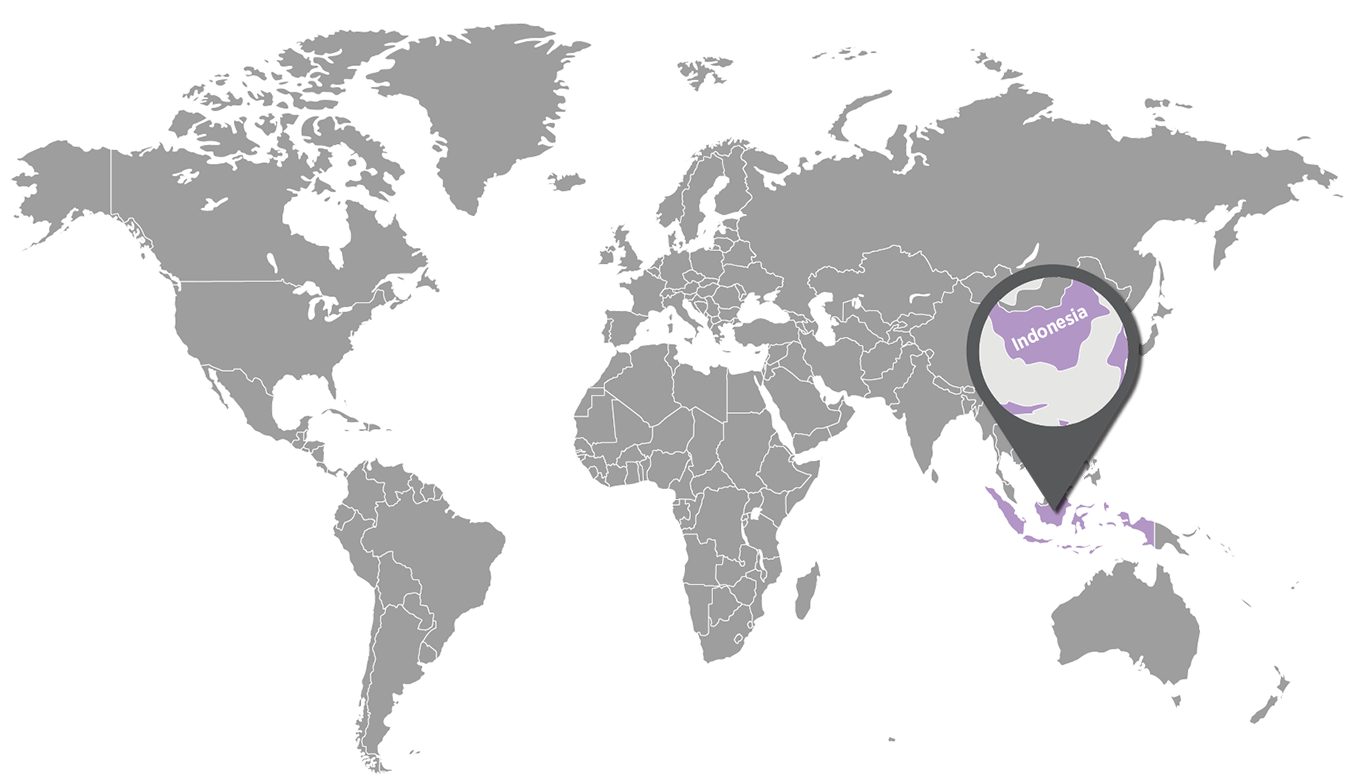 patchouli-map-1350x780-global.png