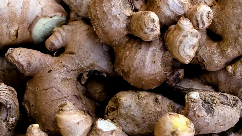 Ginger