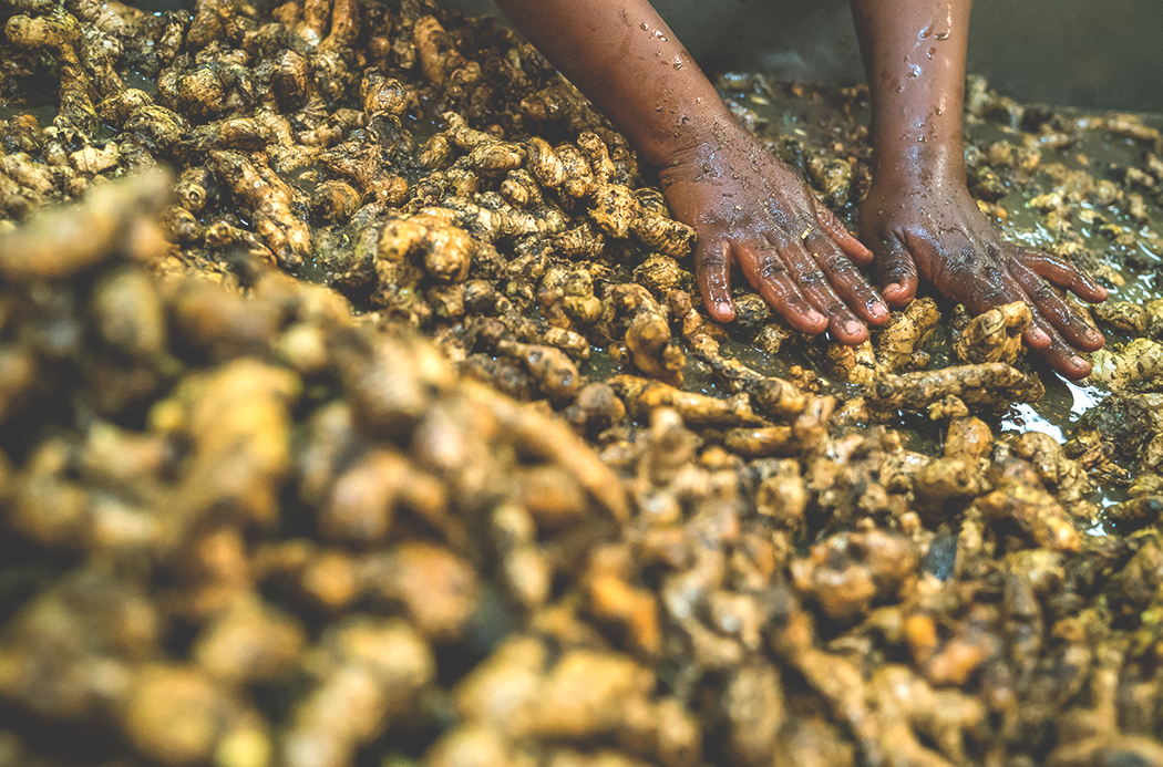 ginger-sourcing-1920x1145-global.jpg