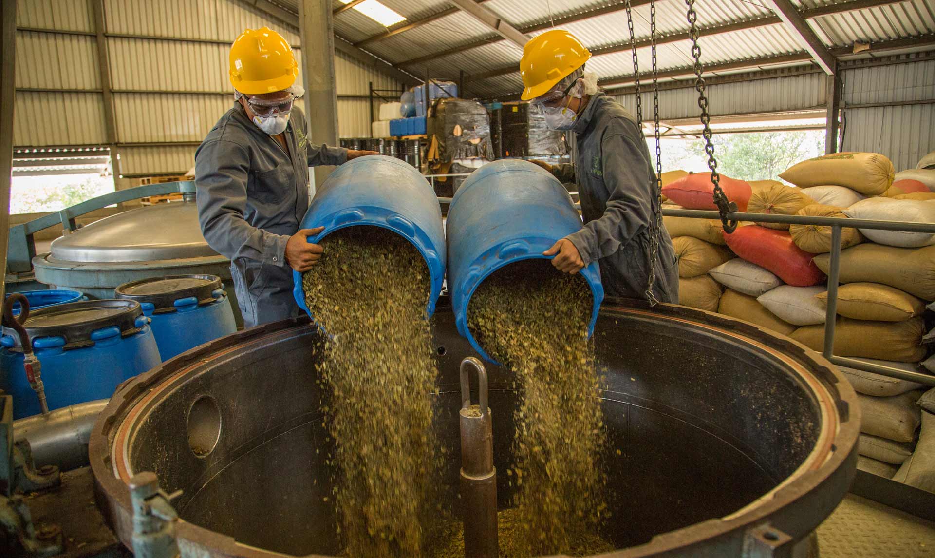 cardamom-guatemala-sourcing-1920x1145-global.jpg