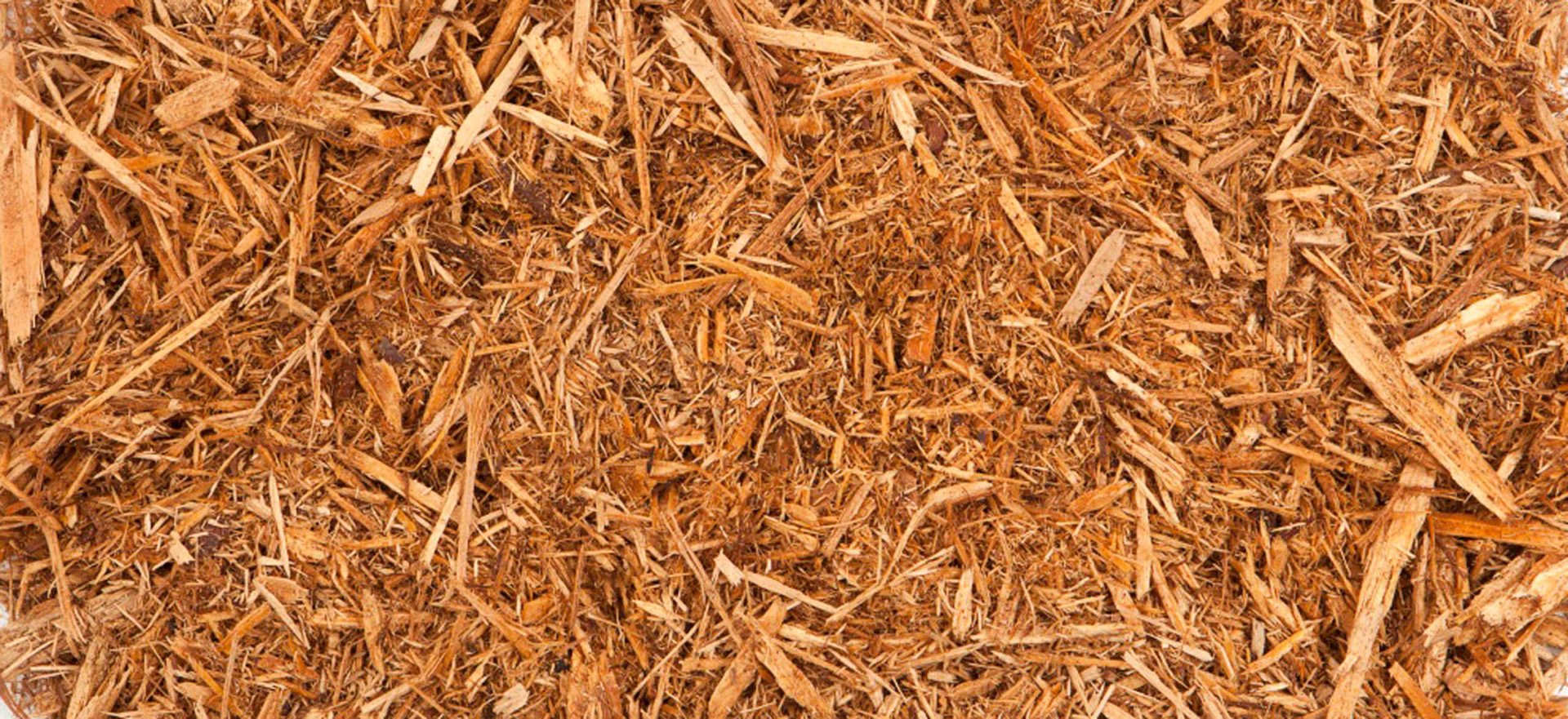 cypress-shavings-botanical-1920x960-global.jpg