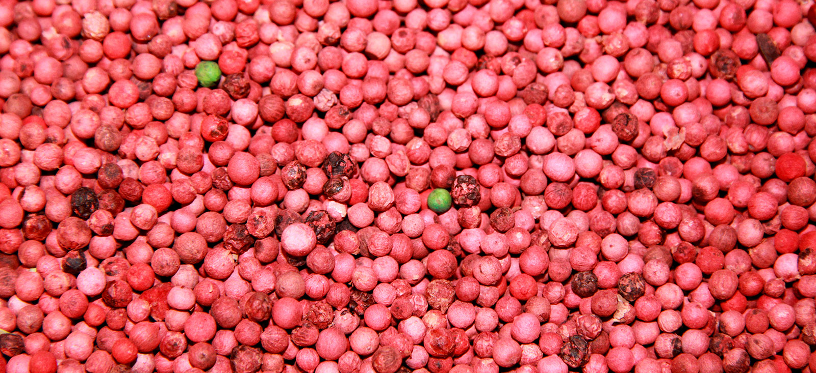pink-pepper-2-botanical-1600x733-global.jpg
