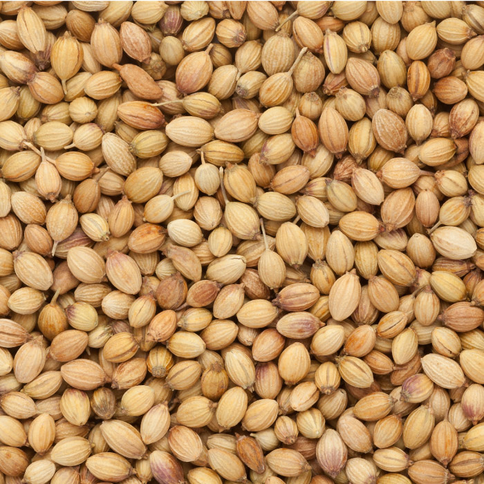 Coriander seeds