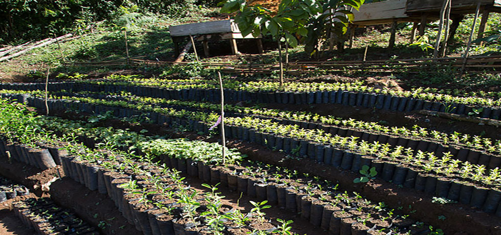 cardamom-2-sourcing-1400x788px-global.jpg