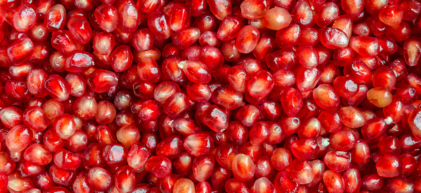 pomegranate-botanical-1600x733-global.jpg