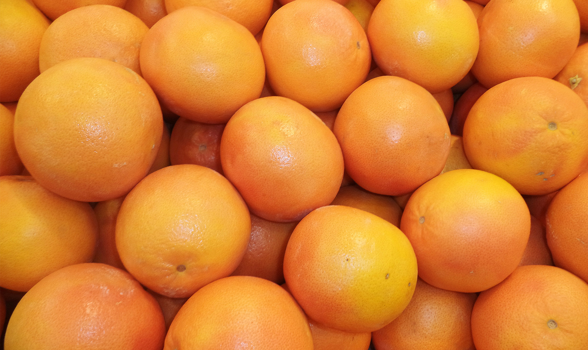 grapefruits-botanical-1920x1145-global.jpg