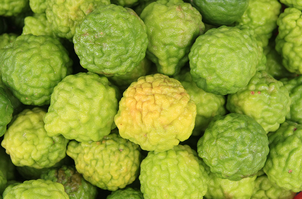 bergamot-sourcing-1920x1145-global.jpg