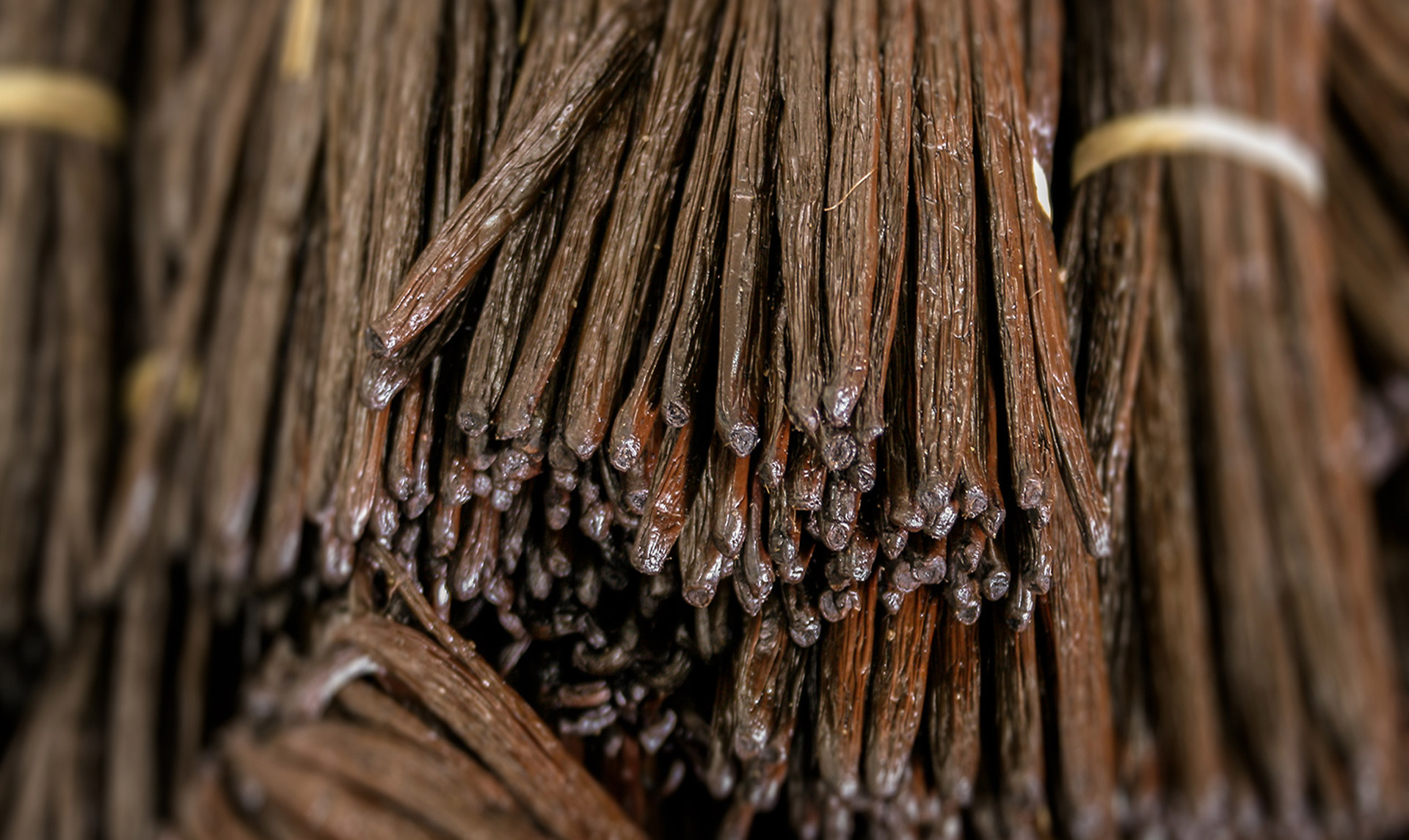Madagascar Vanilla