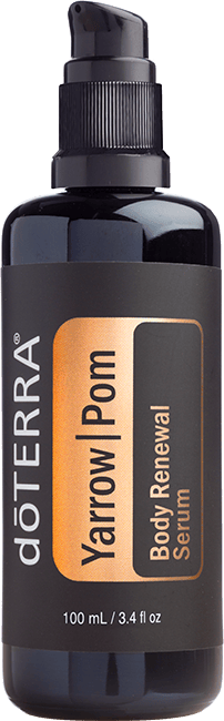 Yarrow | Pom