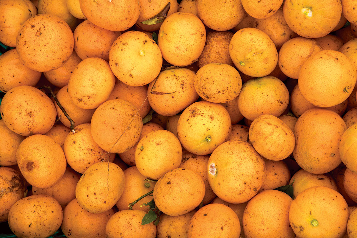 Clementine