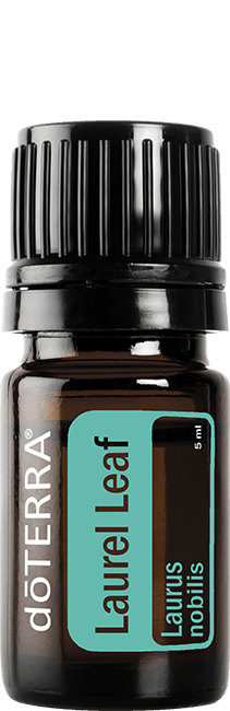 Laurel Leaf Oil