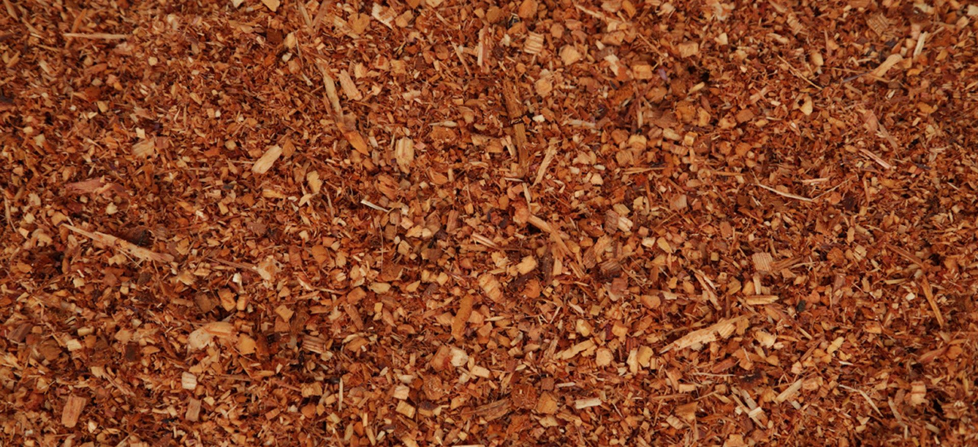 cedarwood-chips-botanical-1920x960-global.jpg