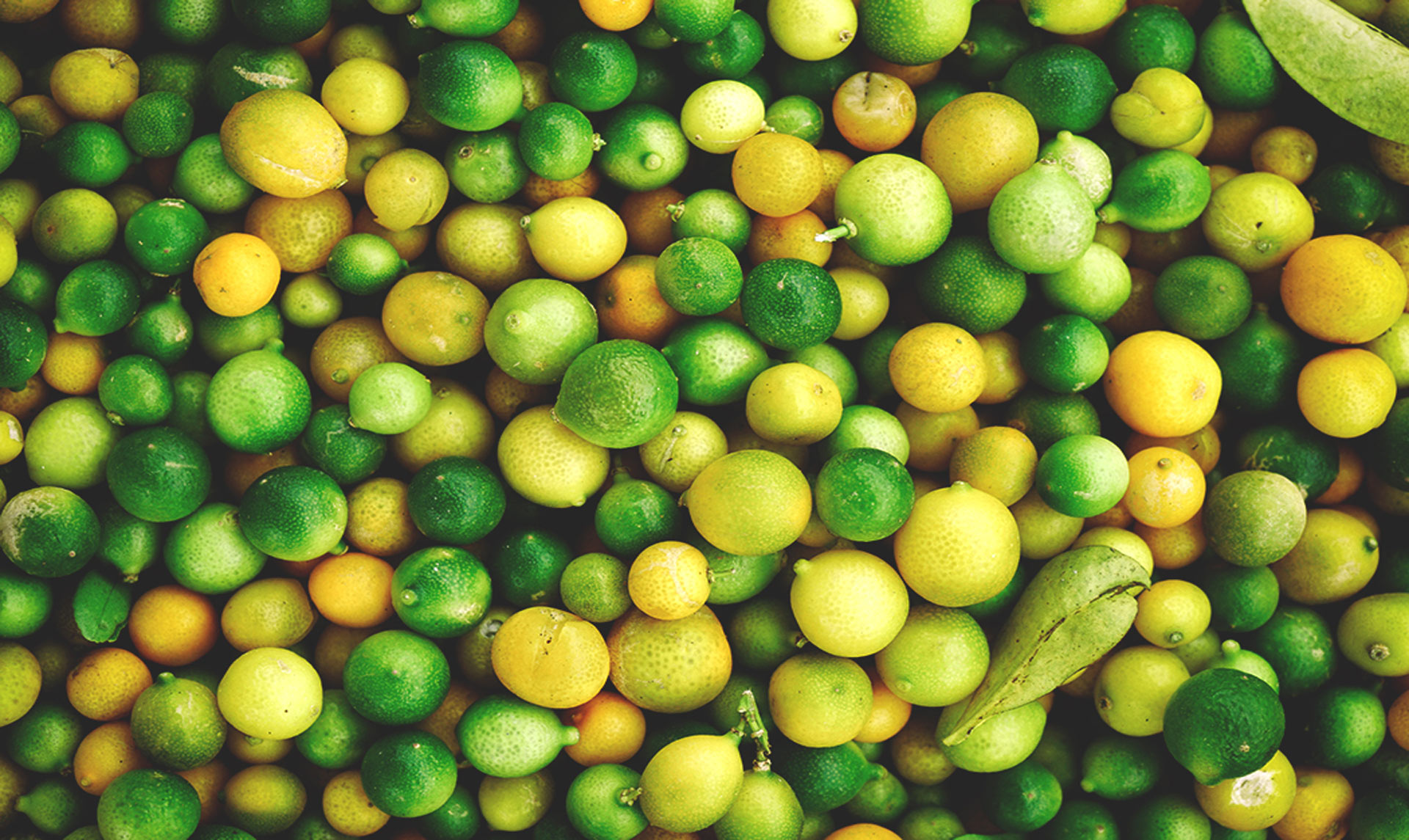 Lime