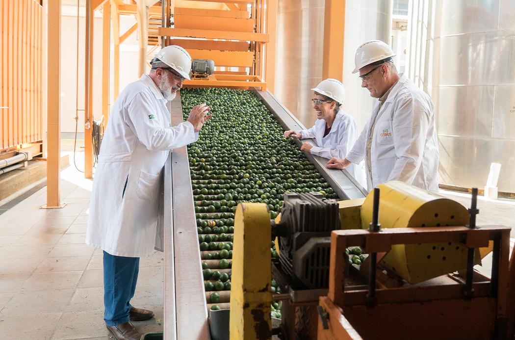 green-mandarin-sourcing-1050x693-global.png