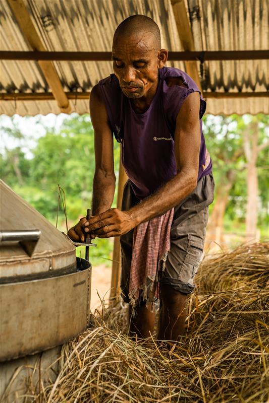 lemongrass-sourcing-india.jpg
