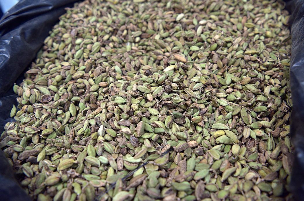cardamom-botanical-1050x693-global.png