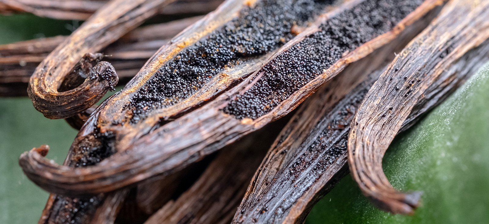 madagascar-vanilla-beans-1920x960-global.jpg