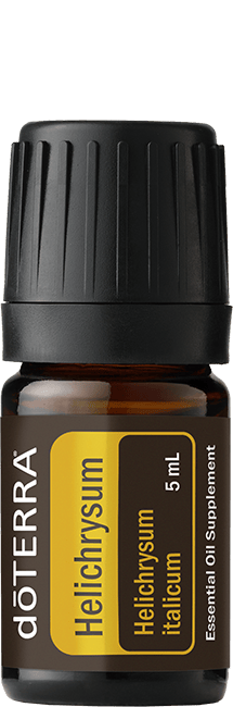Helichrysum
